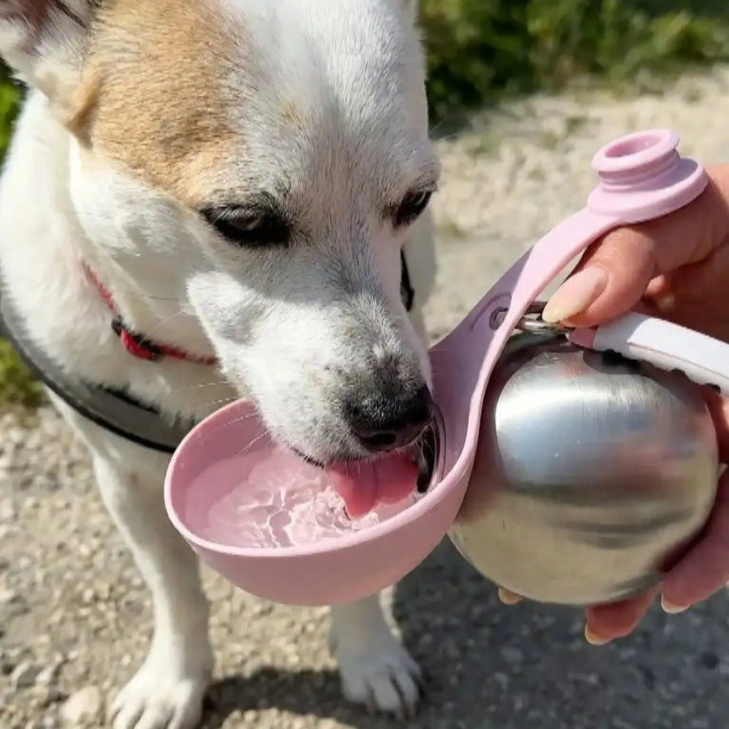 Pfotenpause|Tragbare Hundetrinkflasche aus Edelstahl