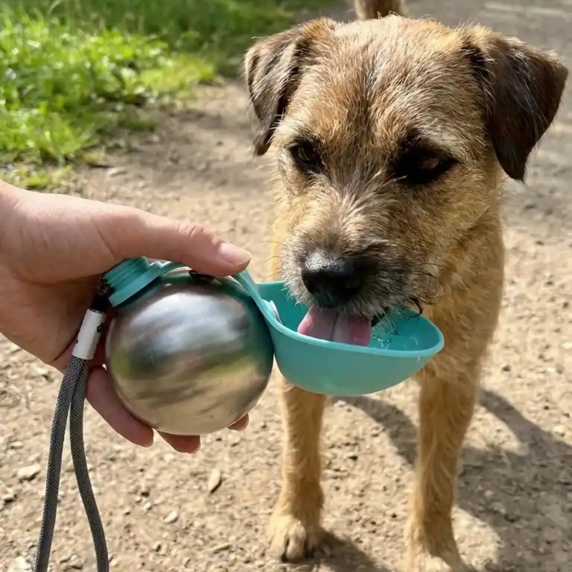 Pfotenpause|Tragbare Hundetrinkflasche aus Edelstahl