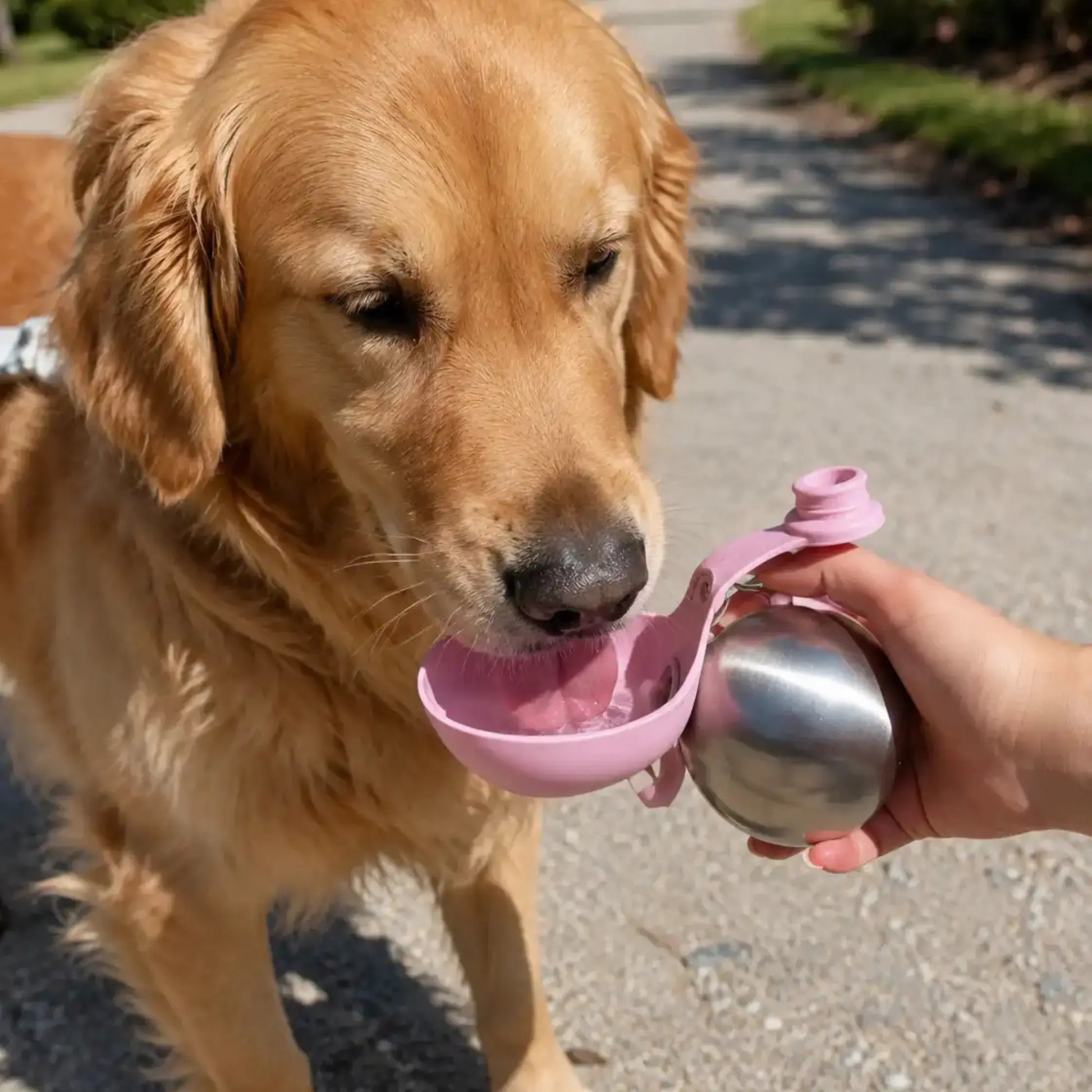Pfotenpause|Tragbare Hundetrinkflasche aus Edelstahl