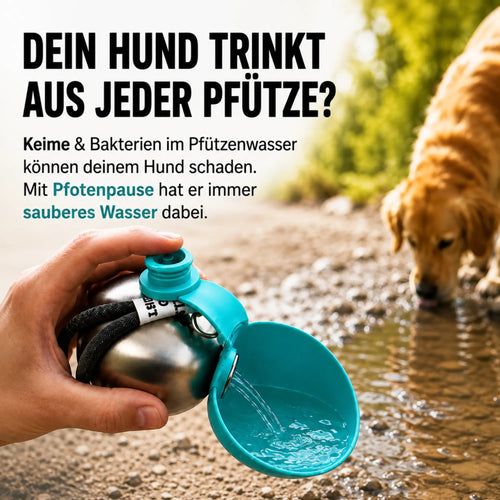 Pfotenpause|Tragbare Hundetrinkflasche aus Edelstahl